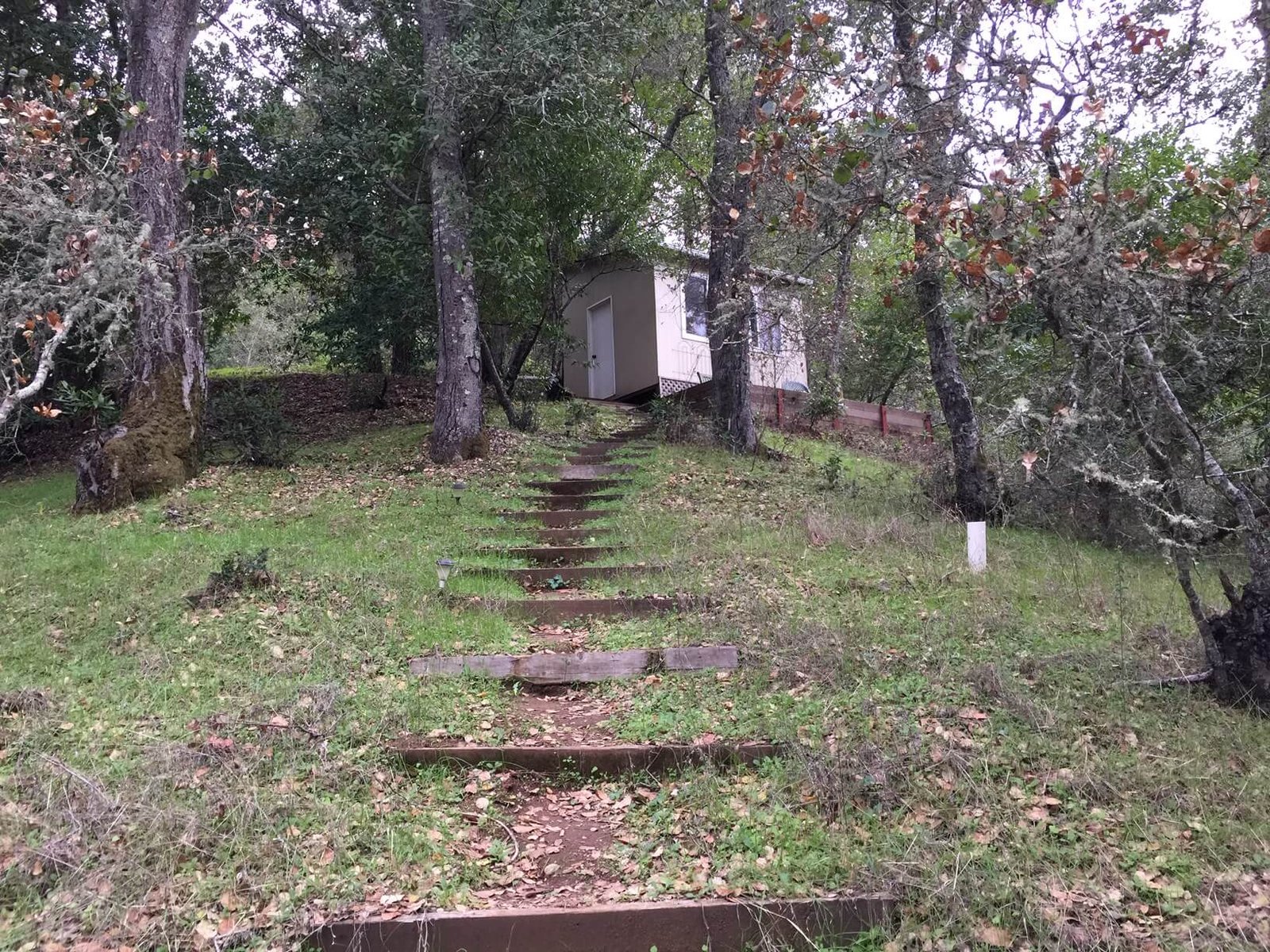 1e-27220MoodyRoad-Path-to-Casita_4415